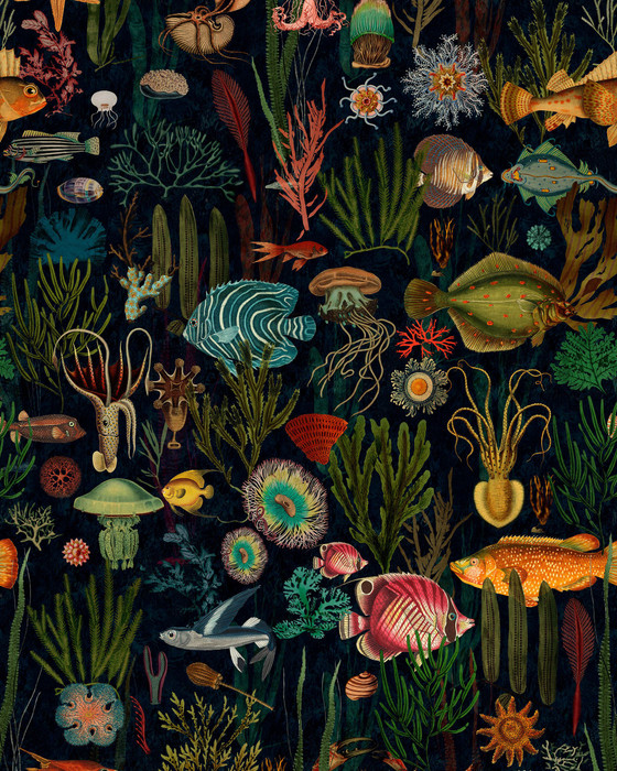 Oceania
