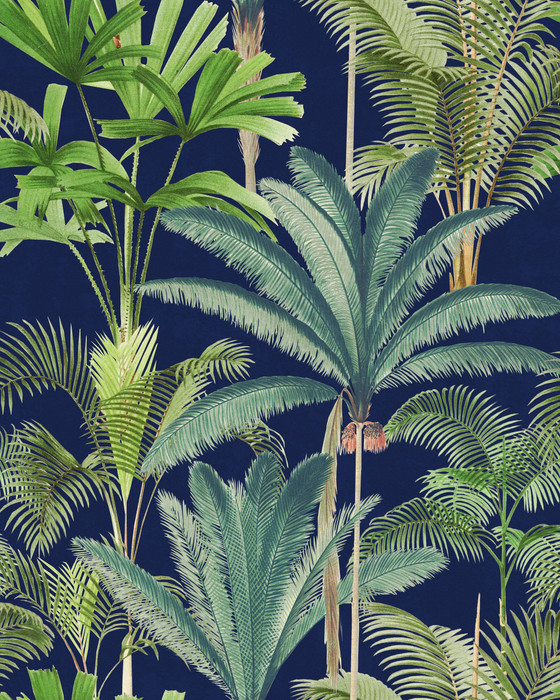 Palmeras - Anthracite
