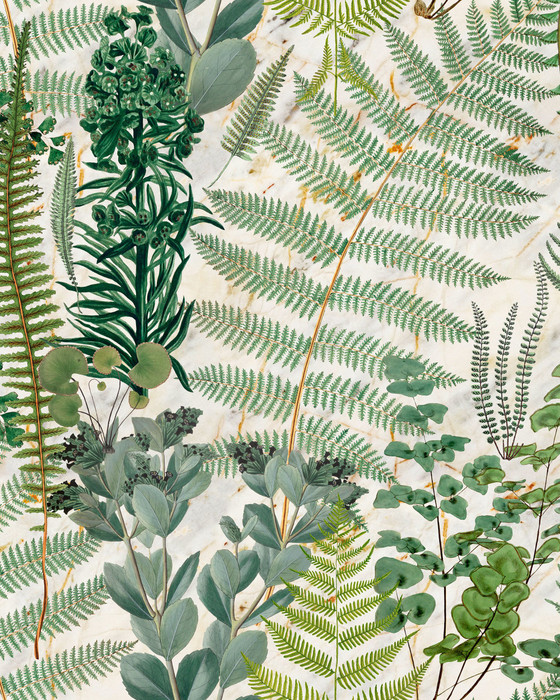 Green Sanctuary