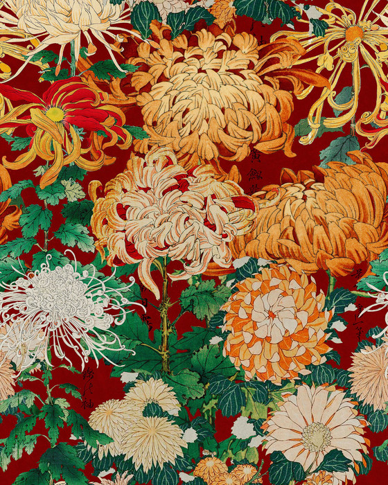 Chrysanthemums