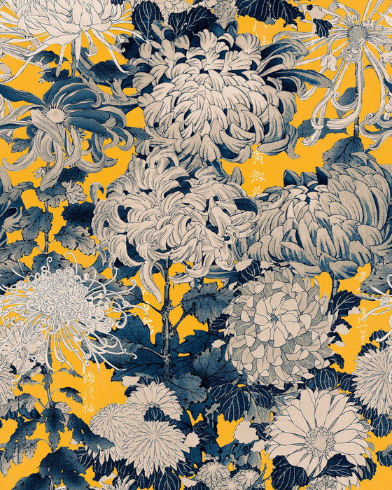 Chrysanthemums - Yellow