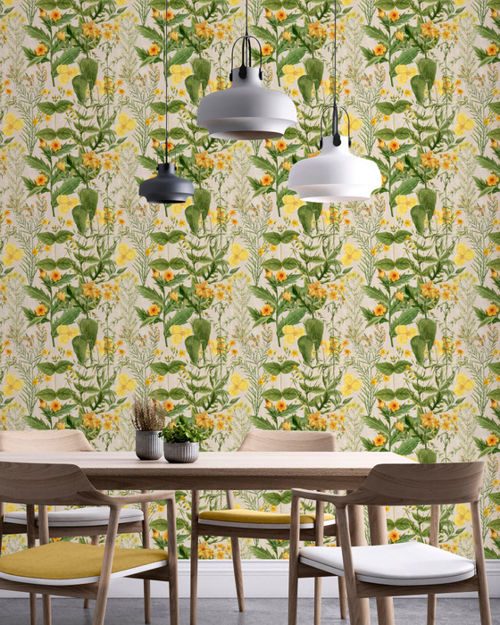 Mimulus - Yellow