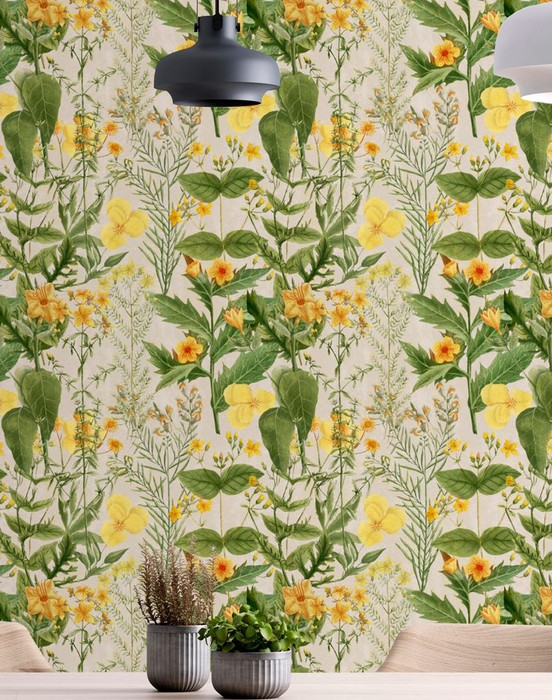 Mimulus - Yellow