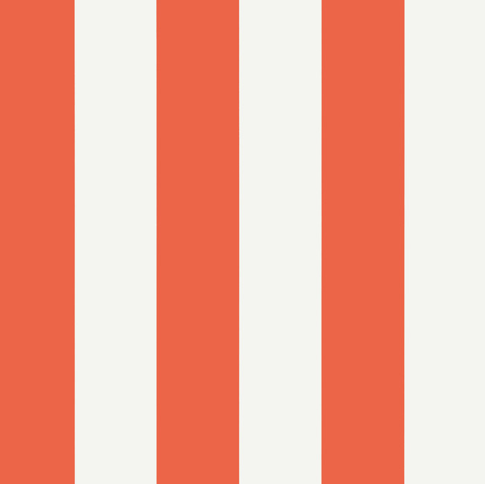 Summer Stripe - Coral