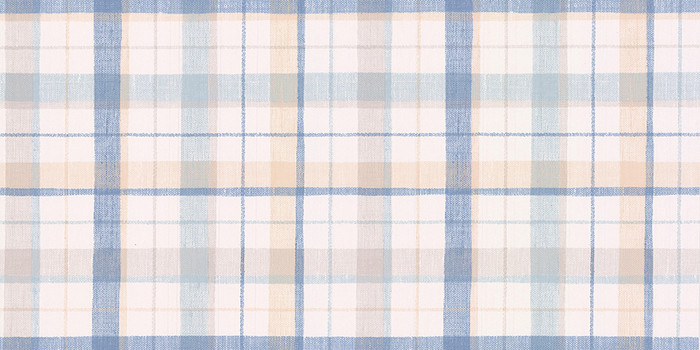 Country Check - Chalk Blue / Peach