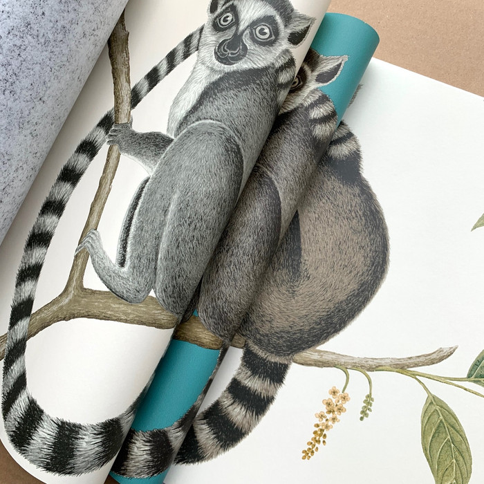 Ringtailed Lemur - Cream / Olive