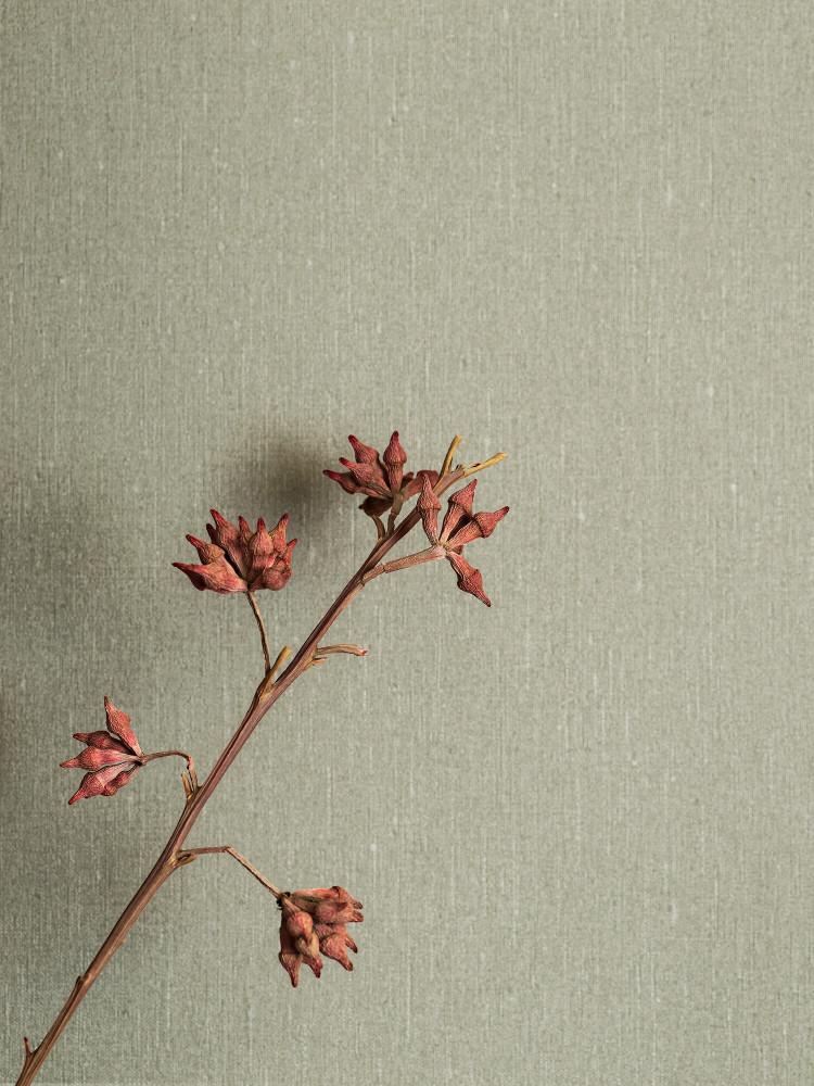 Linen Fabric Wallpaper and Home Decor  Spoonflower