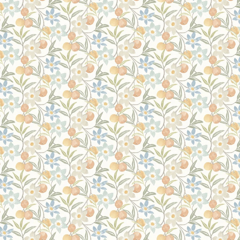 Passiflora - Spice