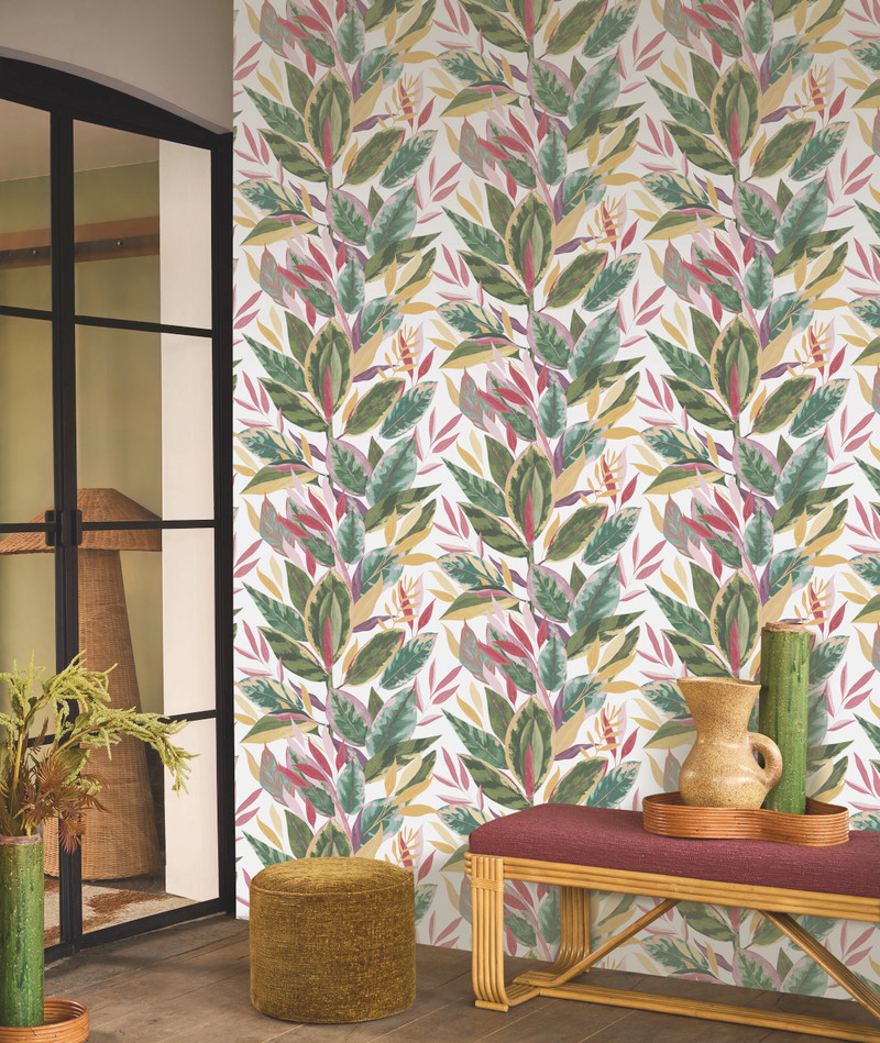 Ficus - Fuchsia
