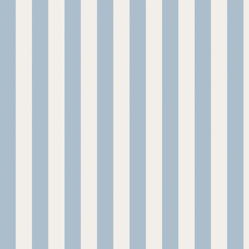 Canopy Stripe - Blue