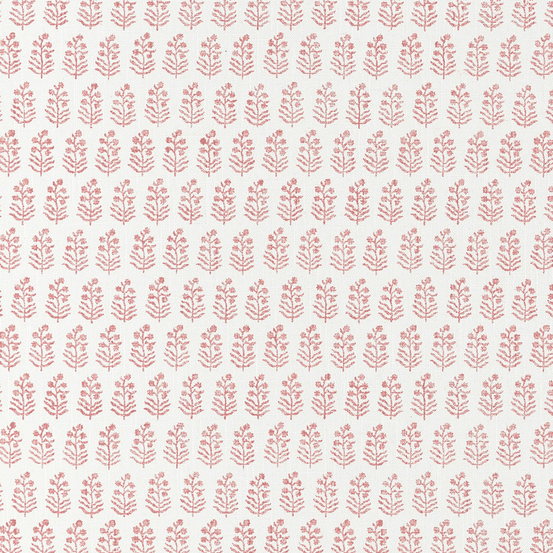 Chloe - Blush