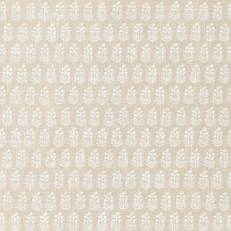 Chloe - Neutral