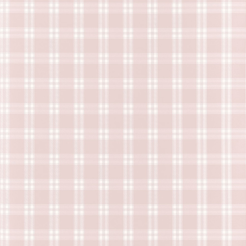 Payton Check - Blush