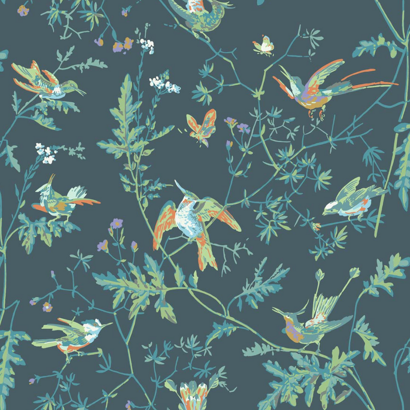 Hummingbirds by Cole  Son  Charcoal and Ginger  Wallpaper  Wallpaper  Direct