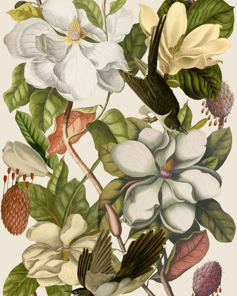 Magnolia - Taupe