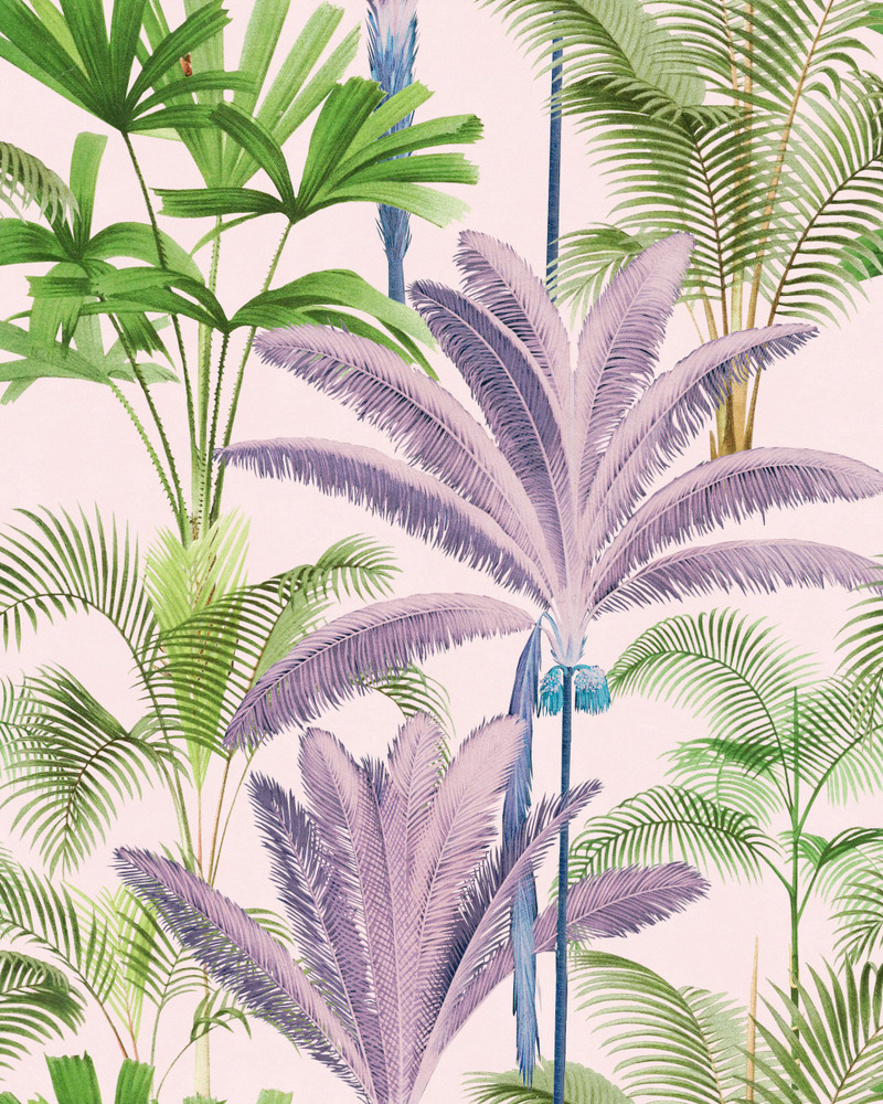 Palmeras - Violet
