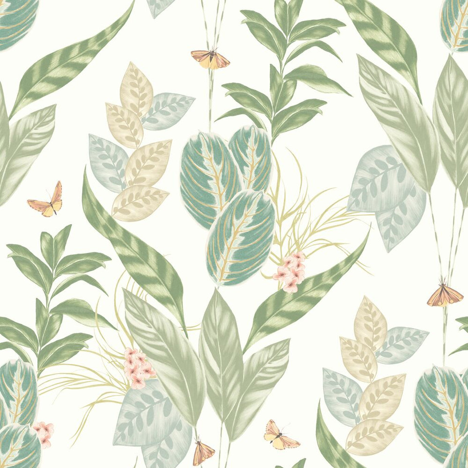 Tropical Wallpaper Australia