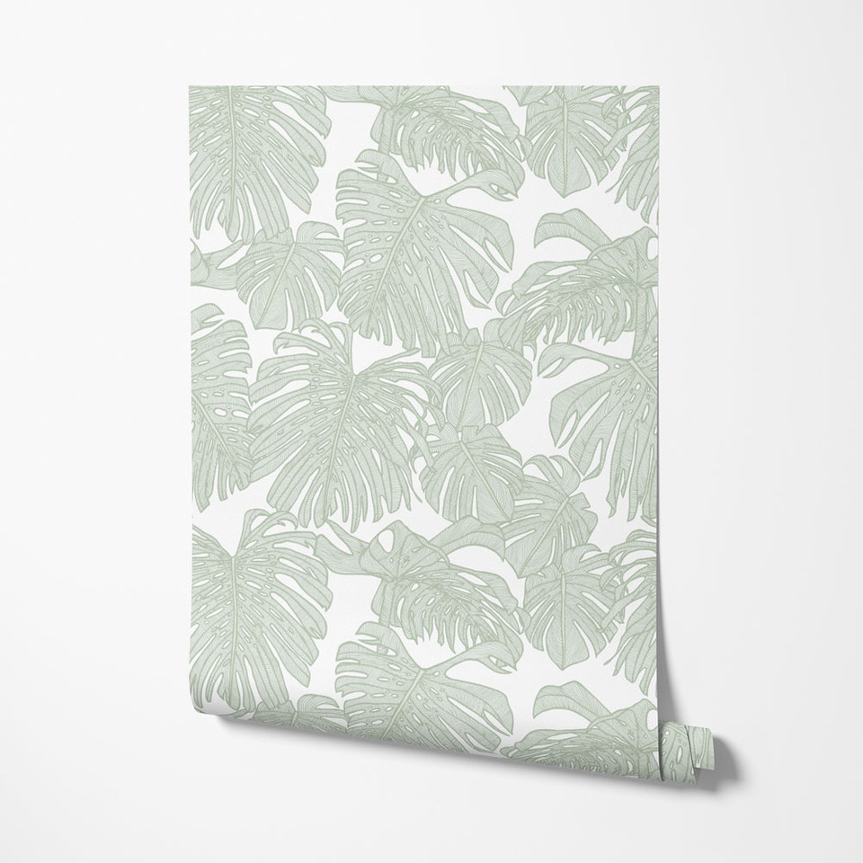 Tropical Monstera Deliciosa Leaves White Soft Green Wallpaper ...