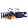 Ford Performance 1" Track Lowering Springs :: 2024-2025 Ford Mustang GT w/o MagneRide