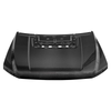 Ford F-150 Hood w/o Vent Scoop, Carbon Fiber :: 2021-2026 Ford F-150 Raptor