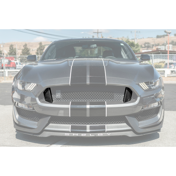 S550 Mustang Upper Grille Inserts, Carbon Fiber :: 2015-2020 Ford Mustang GT350