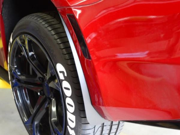 ZL1 Addons Deluxe Rock Guards, Rear