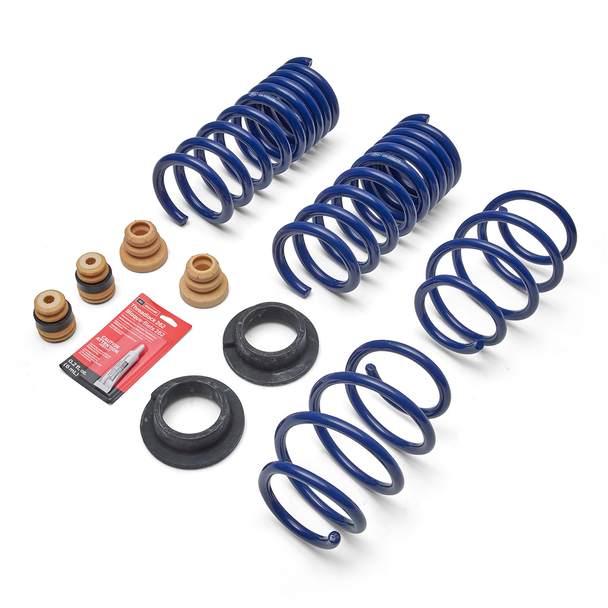 Ford Performance 1" Lowering Spring Kit :: 2015-2023 Ford Mustang GT & 2015-2025 EcoBoost w/o Magneride