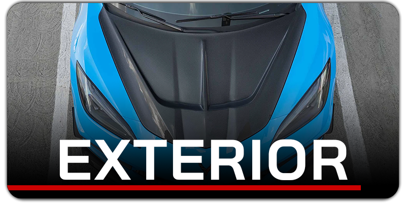 Stingray Exterior