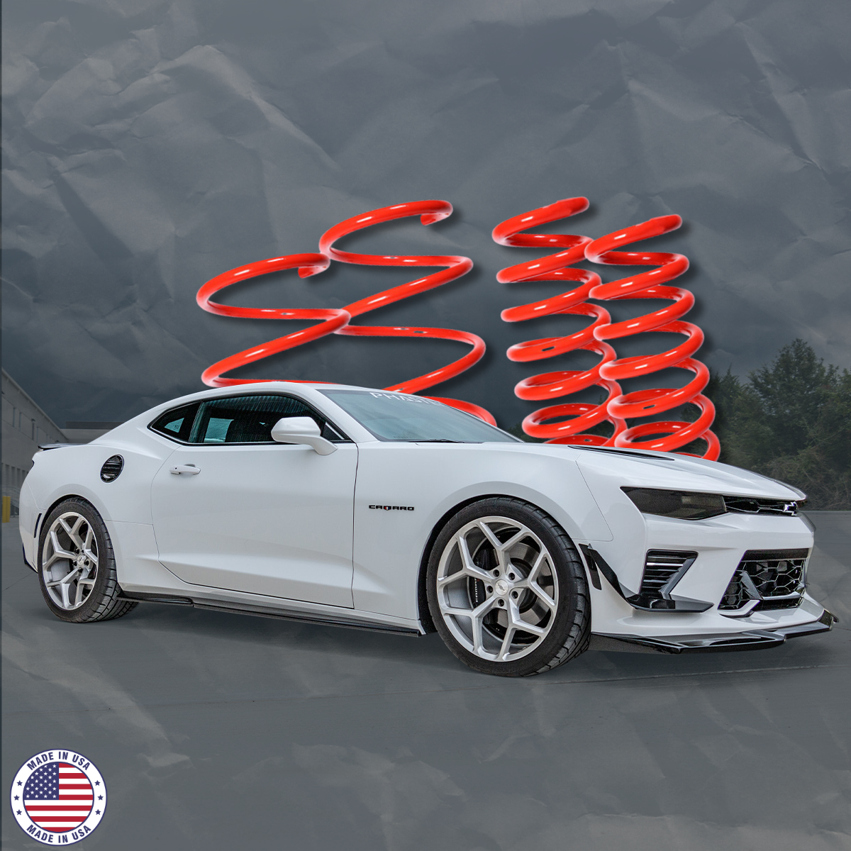 RST PX1 Lowering Springs