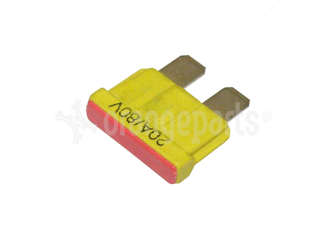 6717563__23514.1620039586.JPG?c=1