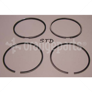 HYSTER 224191 RING SET PER V8.540
