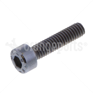 LINDE DZ01149409 CHEESE HEAD SCREW