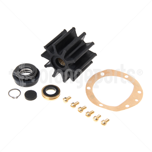 PERKINS 24880080 KIT, PUMP