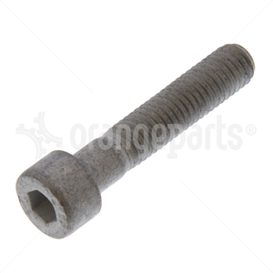 YALE 580079969 CAPSCREW