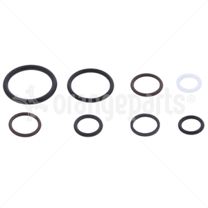 HYSTER 305071 SEAL KIT