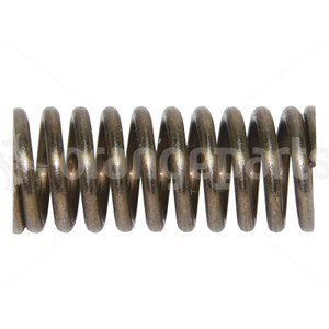 TOYOTA 243231159071 SPRING