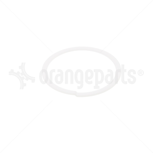 HYSTER 0638252 RING NYLON