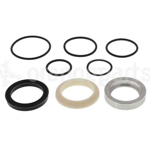 HYSTER 250602 SEAL KIT