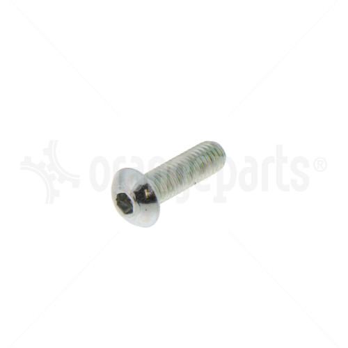 LINDE 9090313099 SCREW