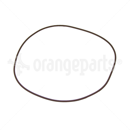 YALE 580069959 O RING