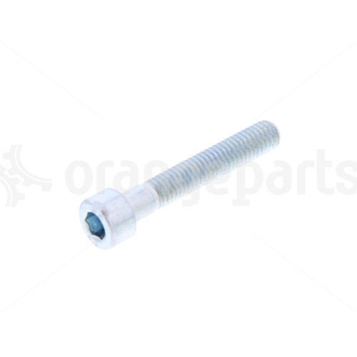 LINDE 0019010128 SOCKET HEAD SCREW