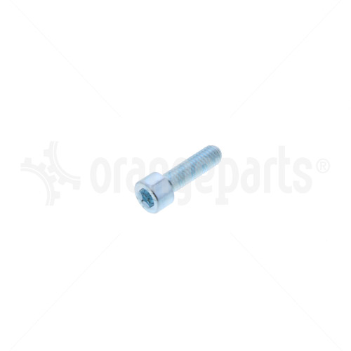 LINDE 0009010044 SOCKET HEAD SCREW