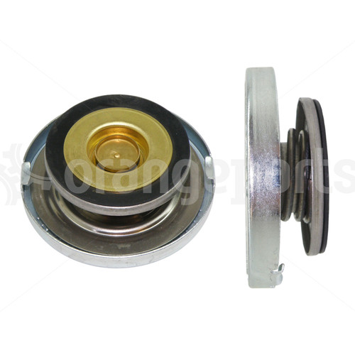 PERKINS 24850201 CAP