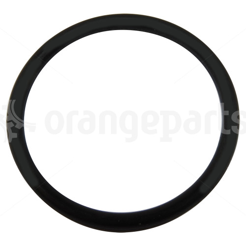 HYSTER 1384189 O RING