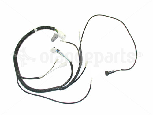 HYSTER 2021998 HARNESS