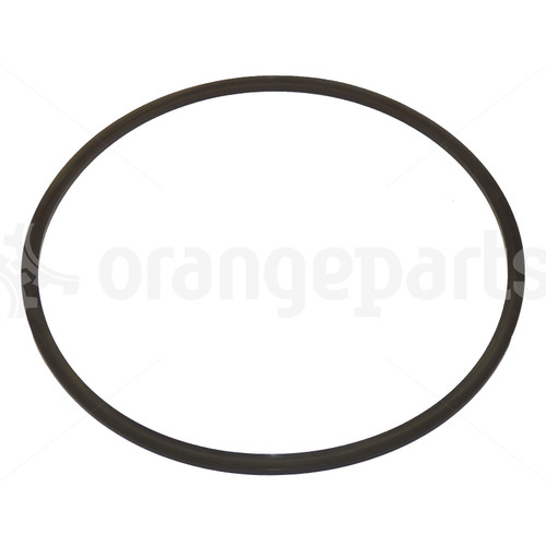 HYSTER 231985 RING BACKUP