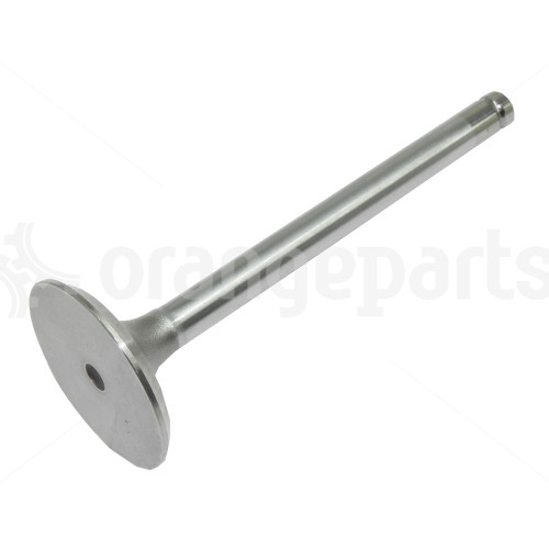 HYSTER 229849 VALVE INL