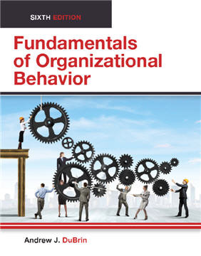 Fundamentals of Organizational Behavior (Color Paperback)
