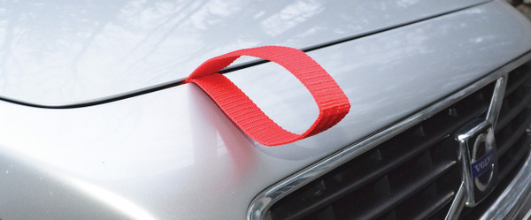 Quicklash T-Style Hood Loops