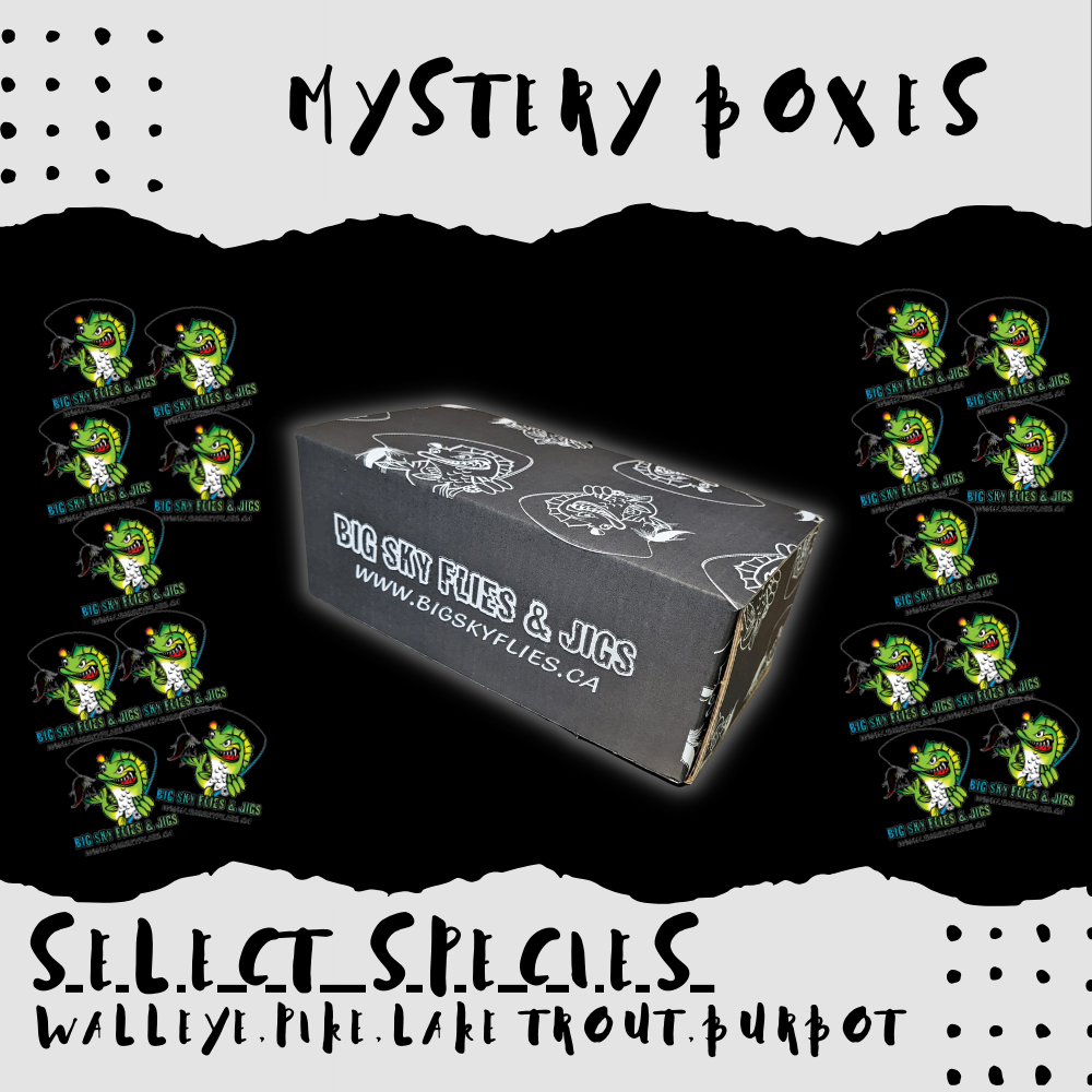 Mystery Box 